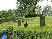 Bakonyszücsi elhagyott temető
